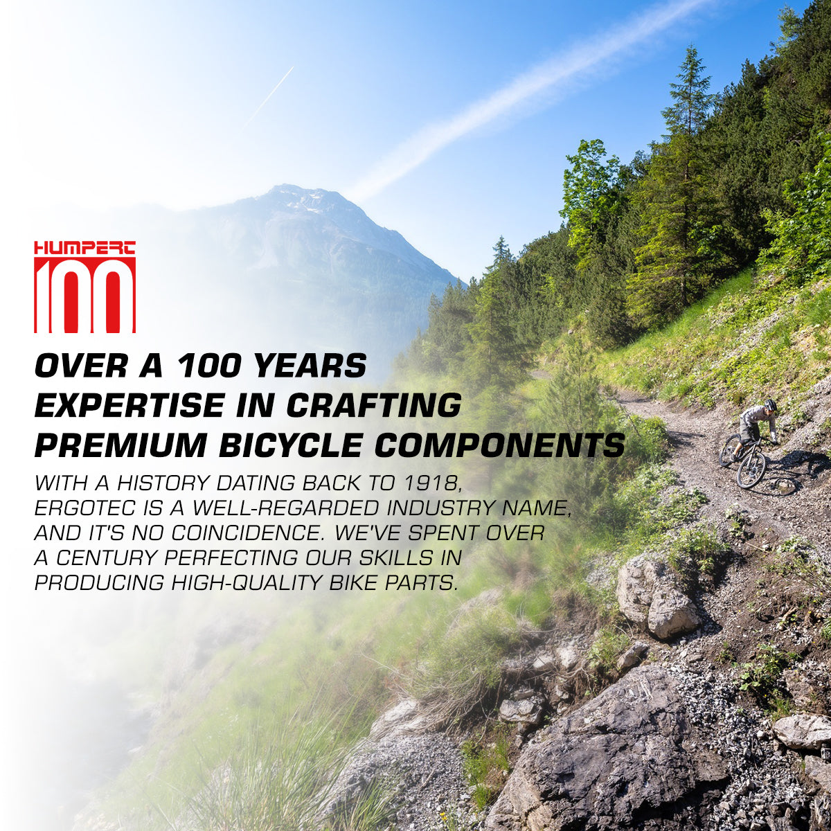 Ergotec - SCQ-100 - Seatclamp