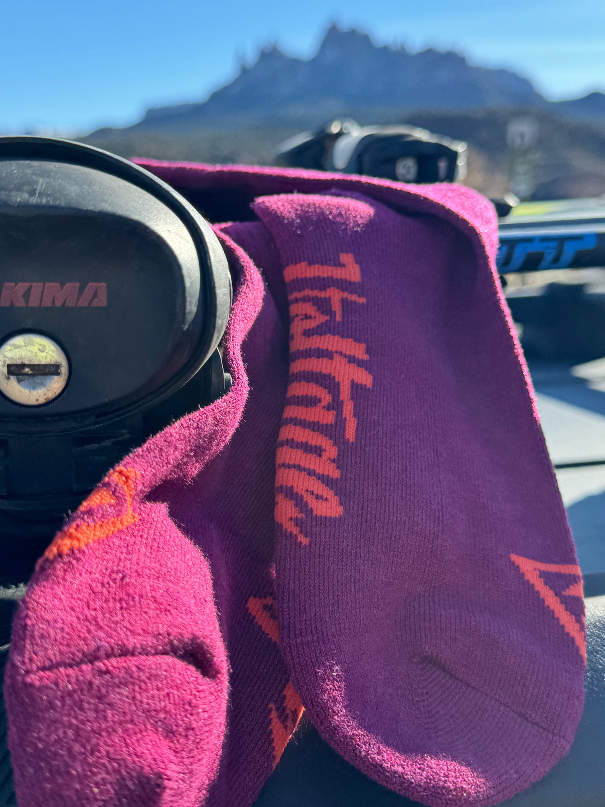 Merry Berry Magic Merino Wool Socks