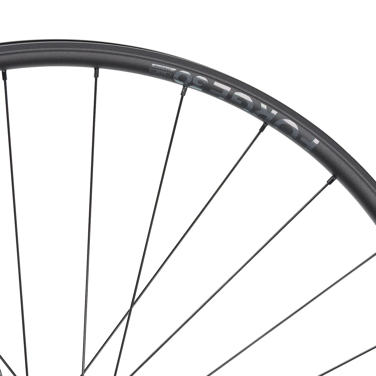 NEWMEN - Wheel (Front) - Forge 30 Strong | Enduro