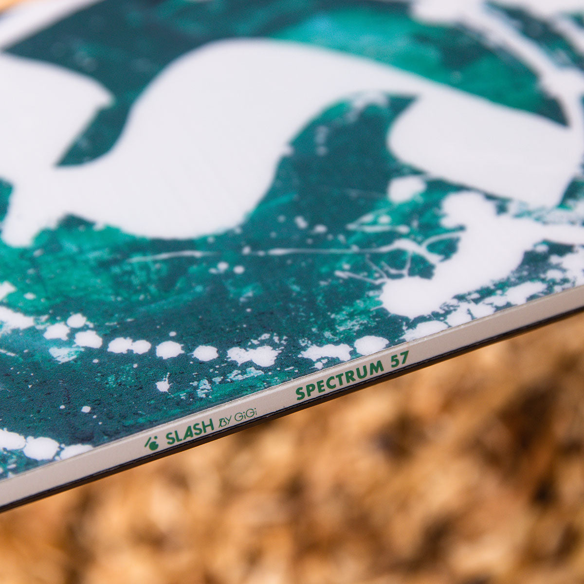 Slash by GiGi - Spectrum Snowboard - ApARTment