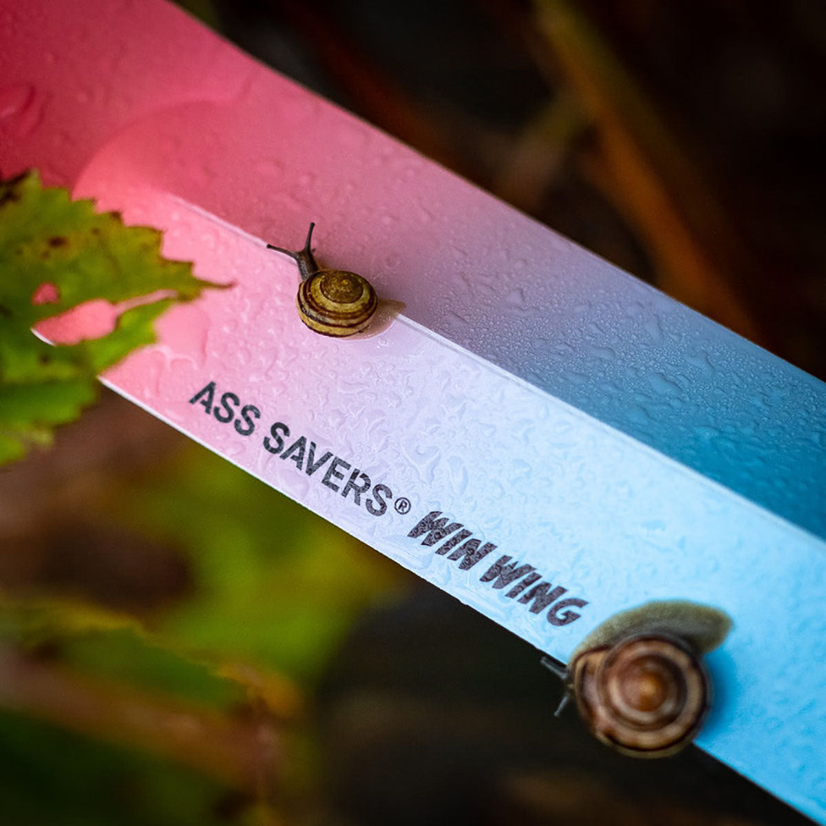 Ass Savers Win Wing Road Rear Mudguard w/ Grey Wishbone