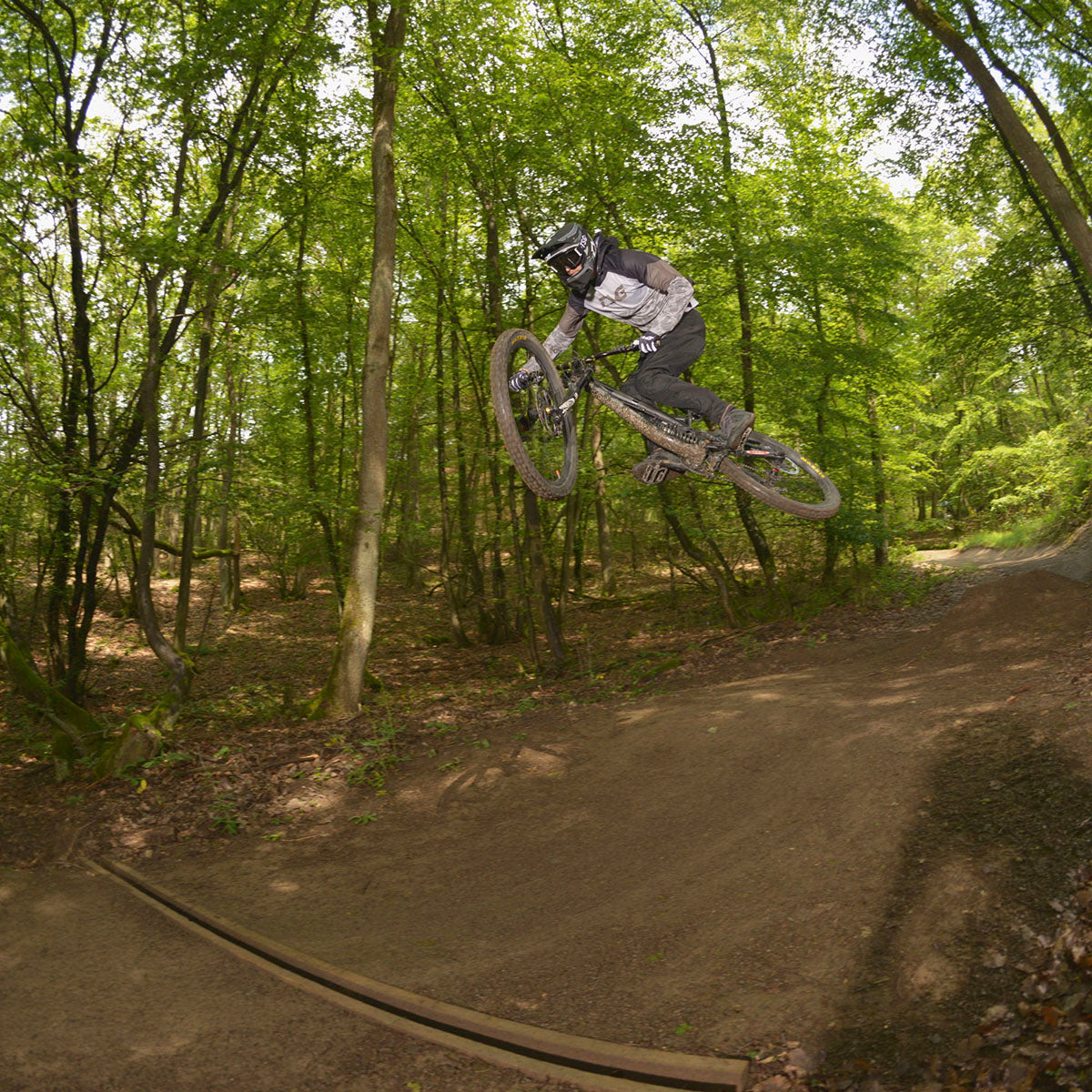 TSG - Shinguard Samir