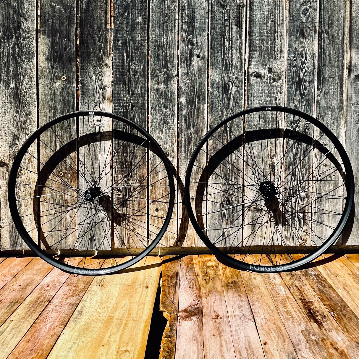 NEWMEN - Wheel (Front) - Forge 30 Light | Cross Country