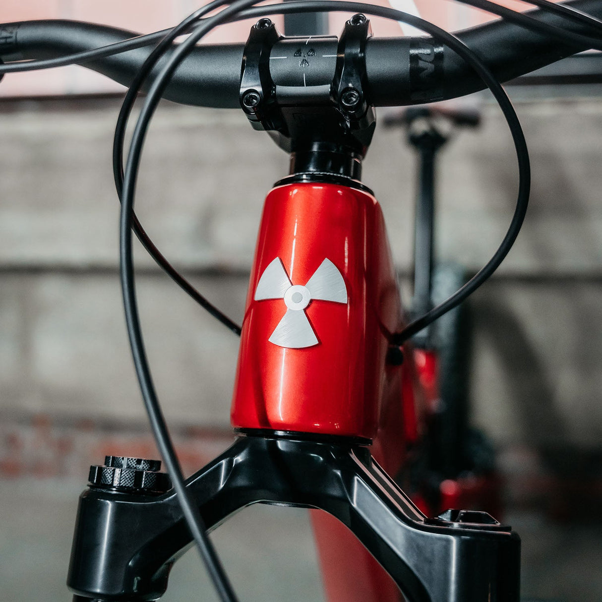 Nukeproof - MTB Bicycle - Reactor 290 CRB Pro 29 T-GX REC01As (Trail / All Mountain)