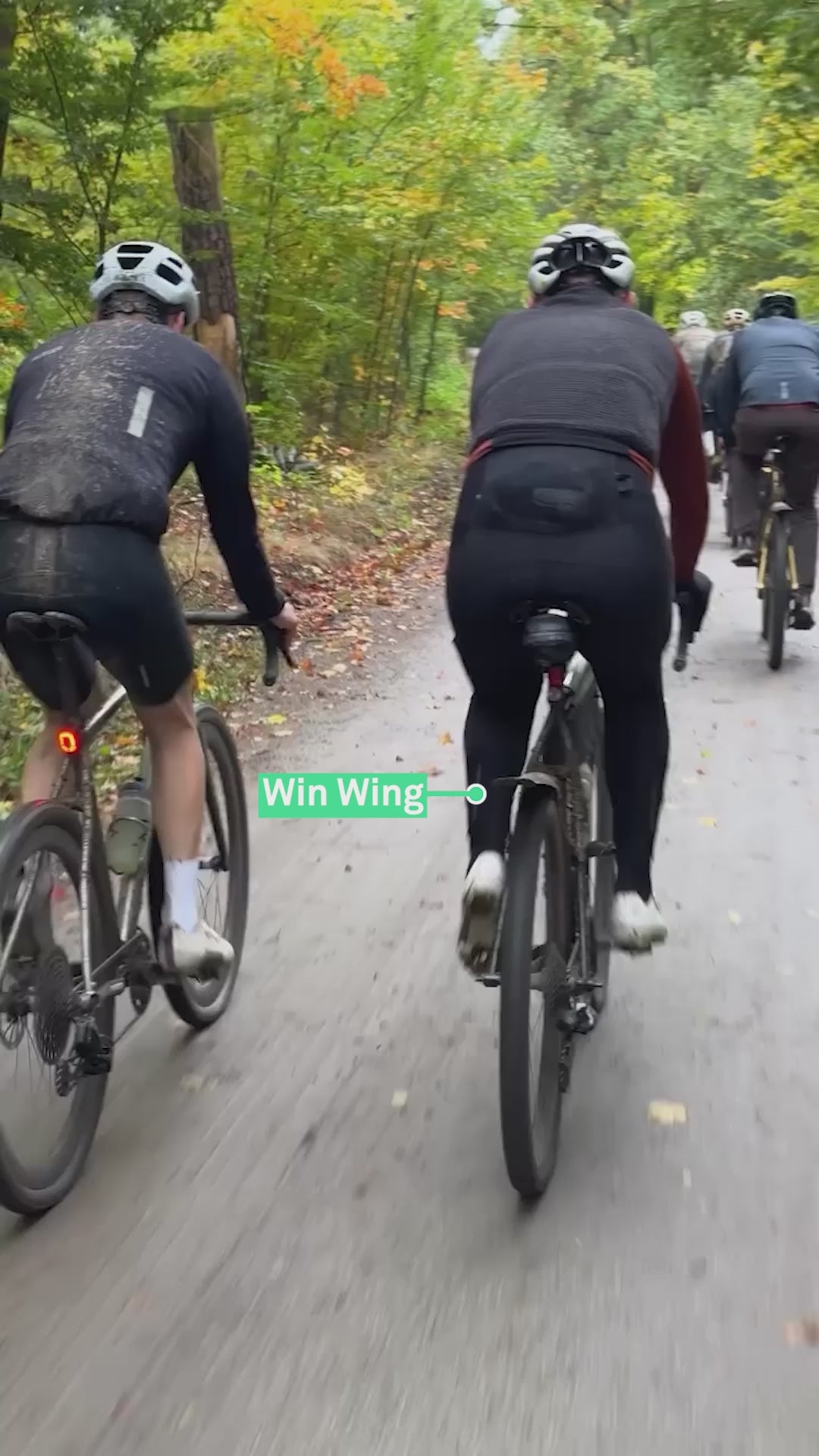 Ass Savers Win Wing MTB