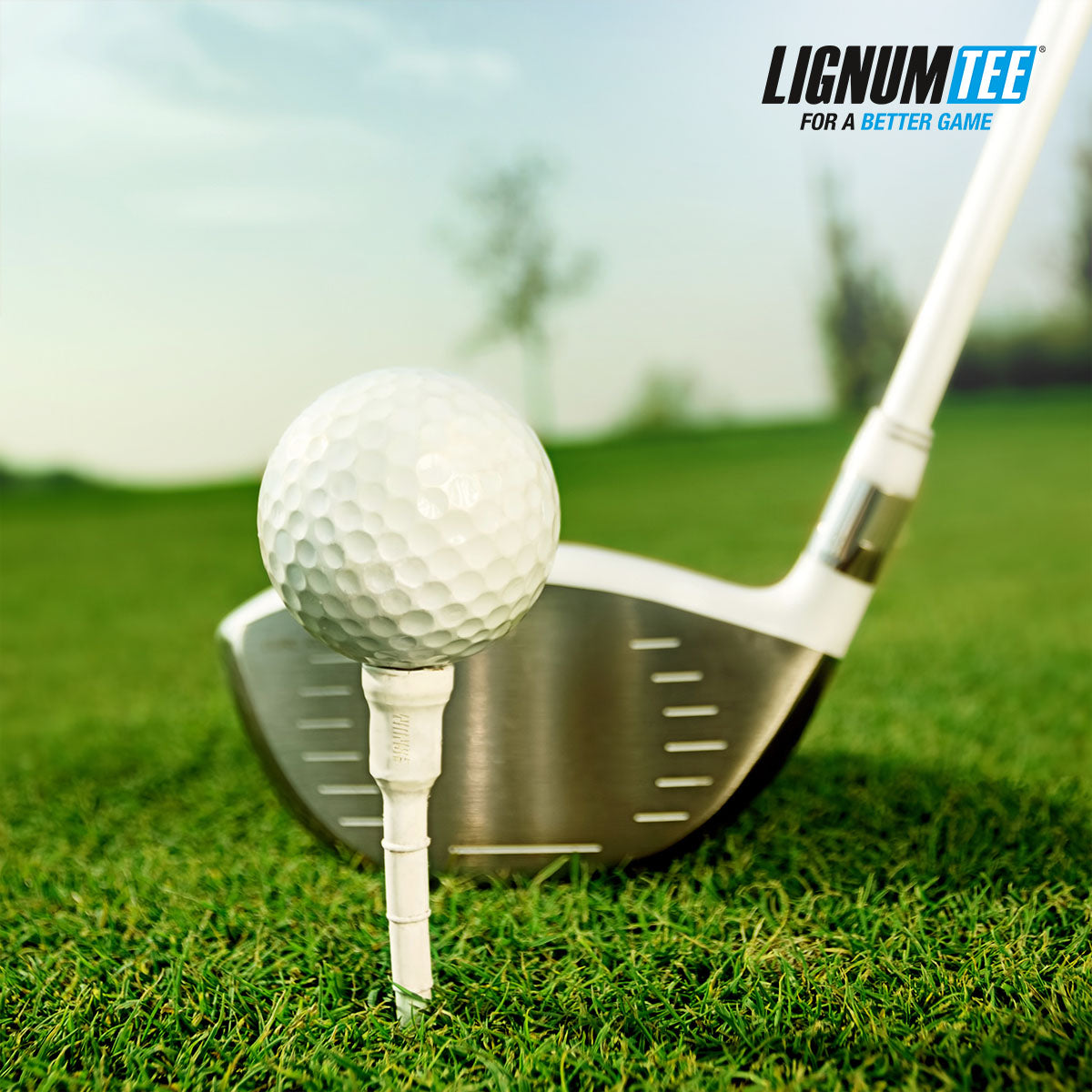 Lignum Tee - Classic Golf Tee Eco
